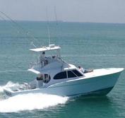 Miami Fishing Charters Coconut Grove Deep Sea Fishing